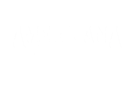 Americana Vibe